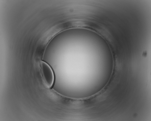 X0000114140889200910151606