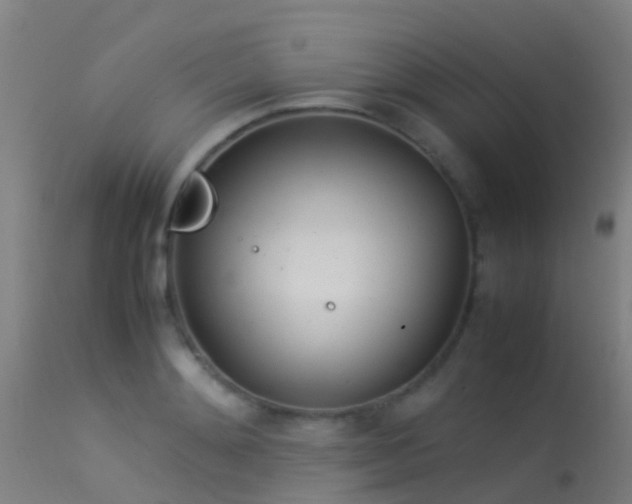 X0000114140892200910151606