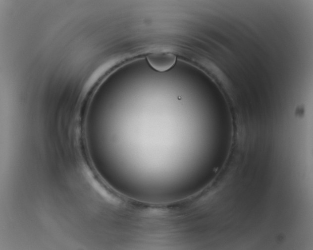 X0000114140894200910151606