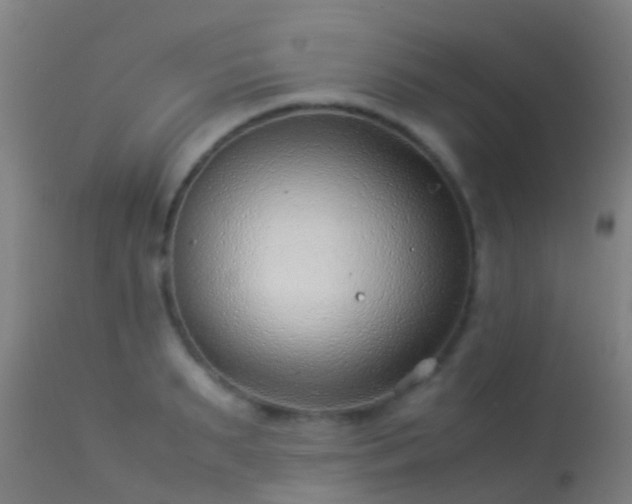 X0000114140895200910151606