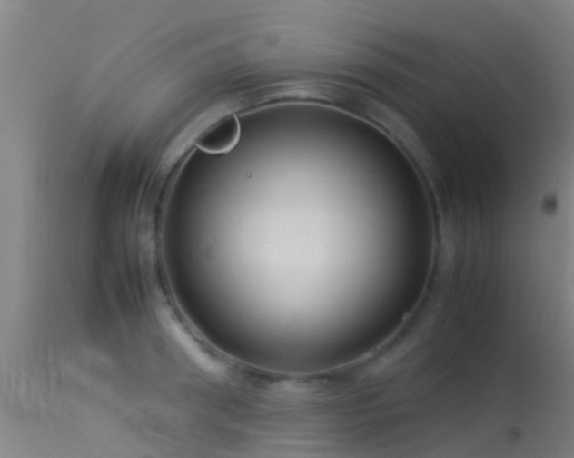 X0000114140898200910151606