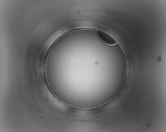 X0000114140901200910151606