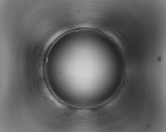 X0000114140902200910151606