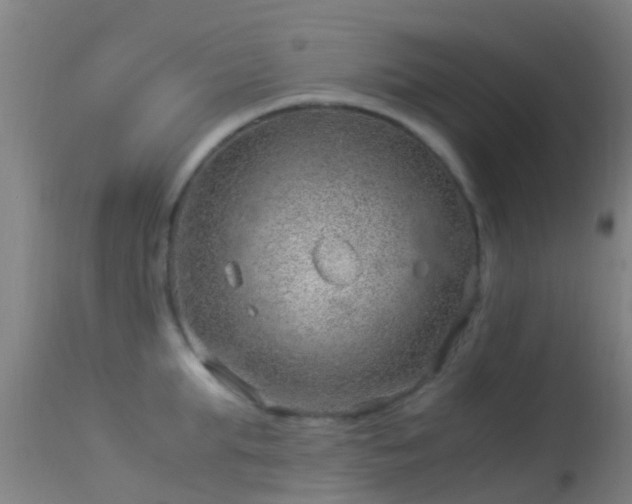 X0000114140903200910151606