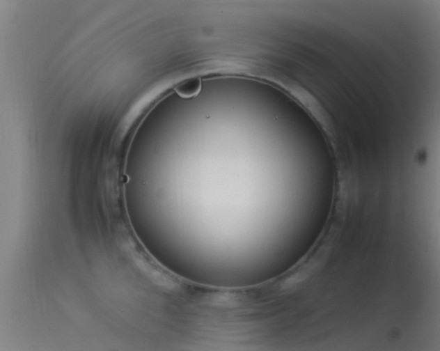 X0000114140904200910151606