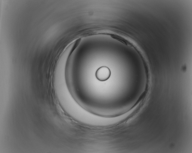 X0000114140905200910151606