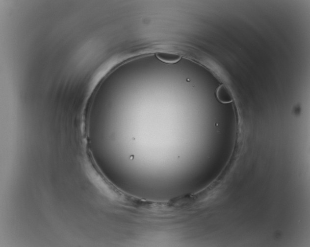 X0000114140907200910151606