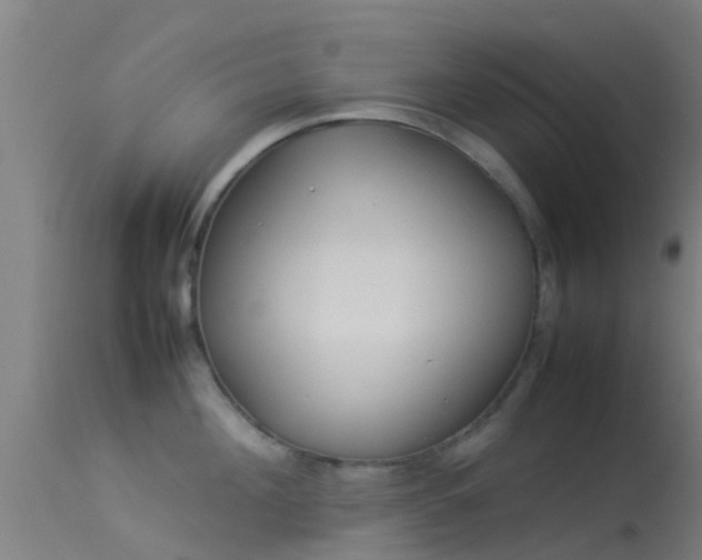 X0000114140908200910151606