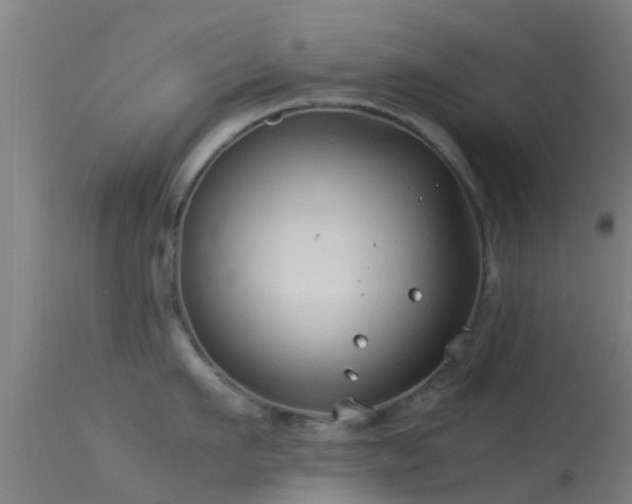 X0000114140911200910151606