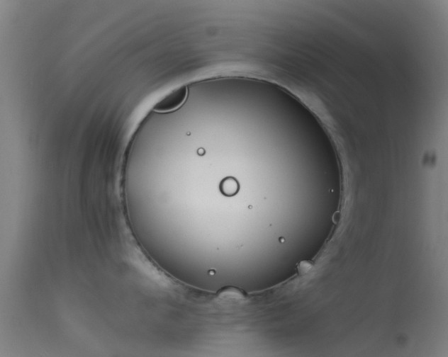 X0000114140912200910151606