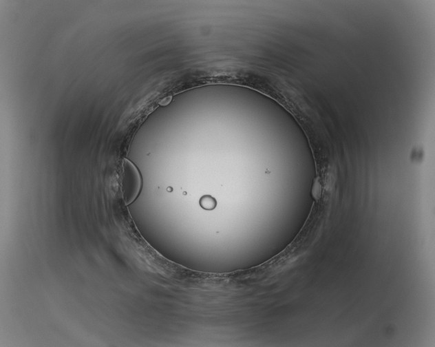 X0000114140916200910151605