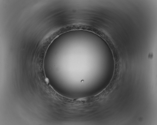 X0000114140919200910151605