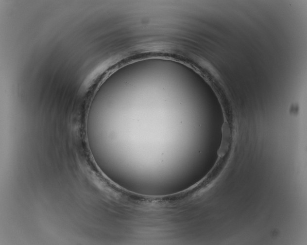 X0000114140922200910151606