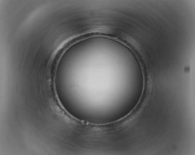 X0000114140923200910151606