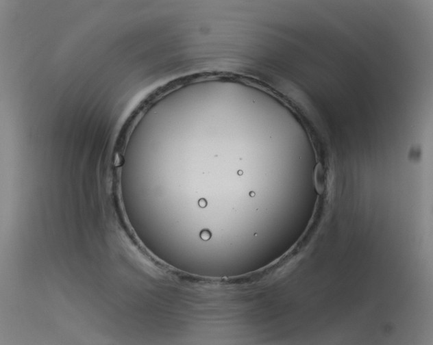 X0000114140924200910151606