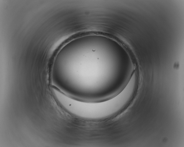 X0000114140925200910151606