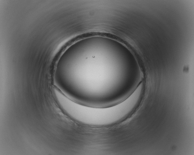 X0000114140926200910151606