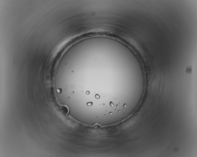 X0000114140927200910151606