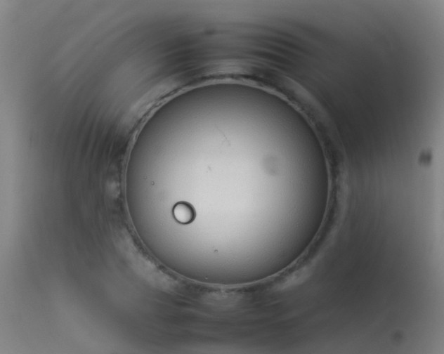 X0000114140929200910151606