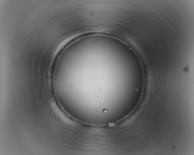 X0000114140932200910151606