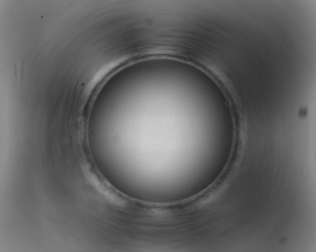 X0000114140933200910151606