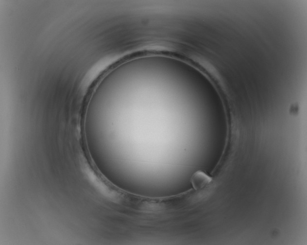 X0000114140935200910151606