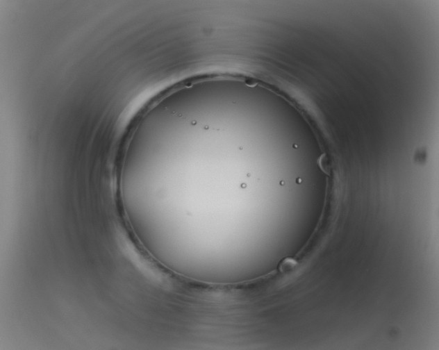 X0000114140936200910151606