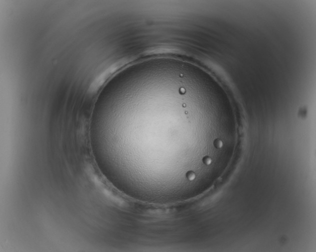 X0000114140937200910151606