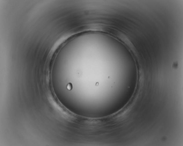 X0000114140939200910151606