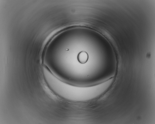 X0000114140940200910151606