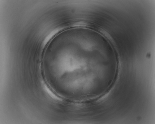 X0000114140941200910151606