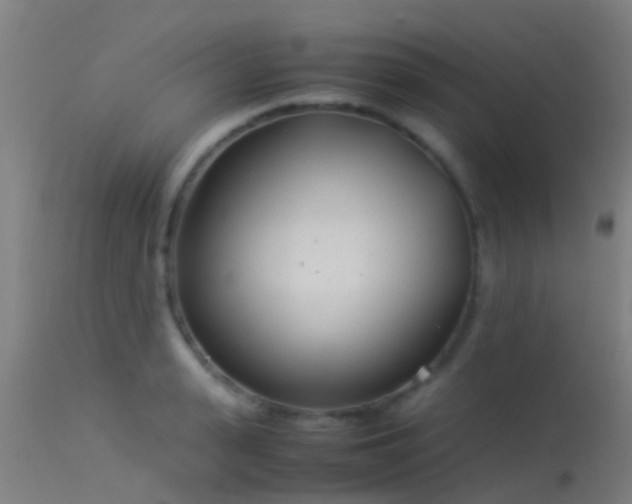 X0000114140943200910151606