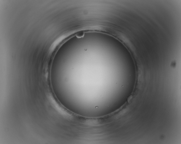 X0000114140944200910151606