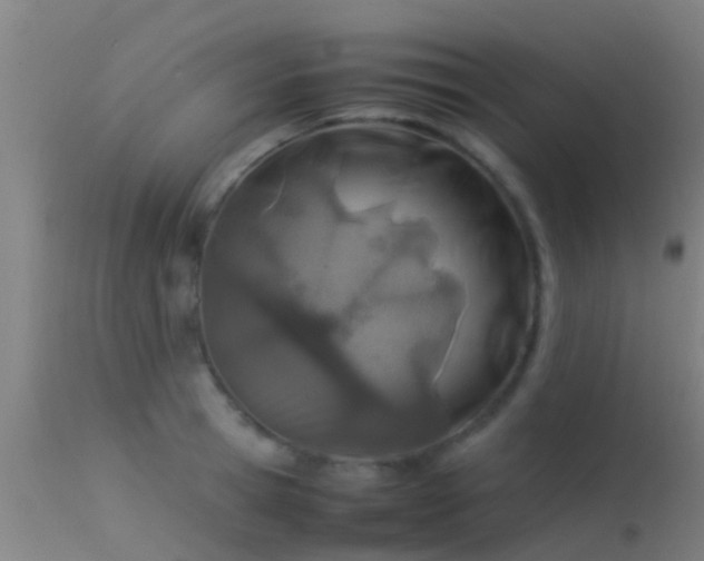 X0000114140945200910151606