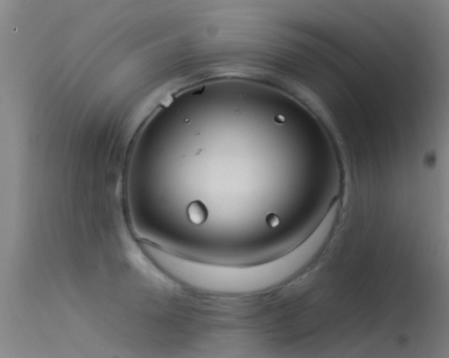 X0000114140946200910151606