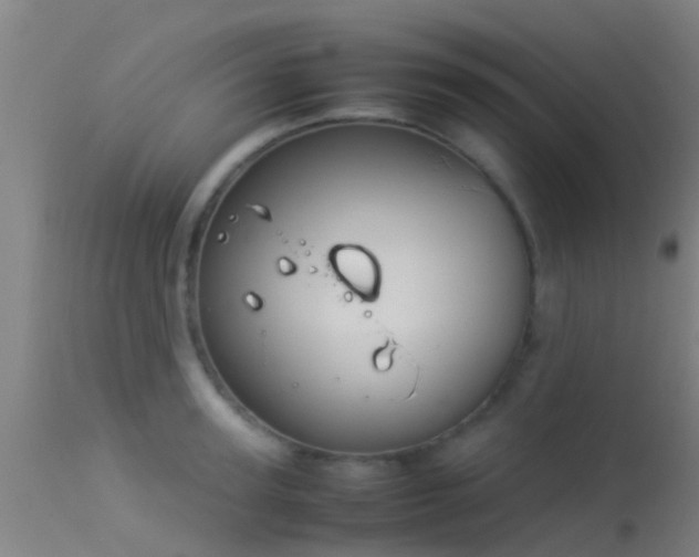 X0000114140947200910151606