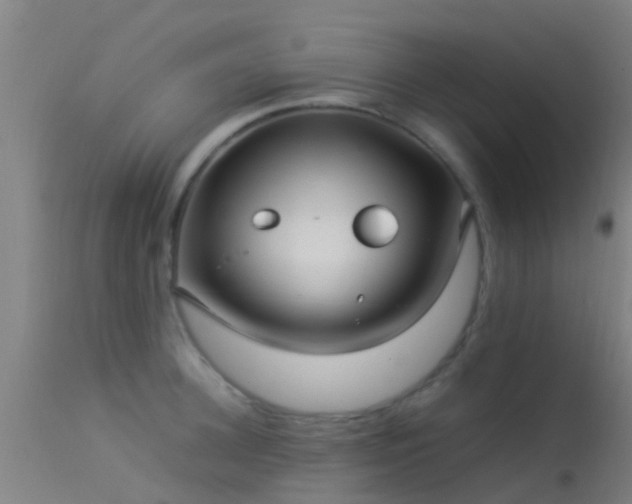 X0000114140948200910151606