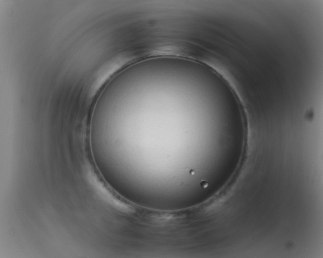 X0000114140949200910151606