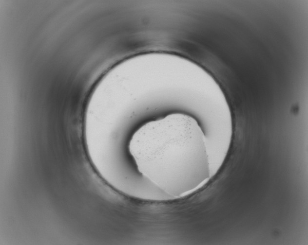 X0000114140950200910151606