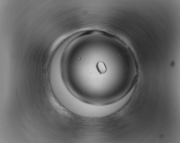 X0000114140952200910151606