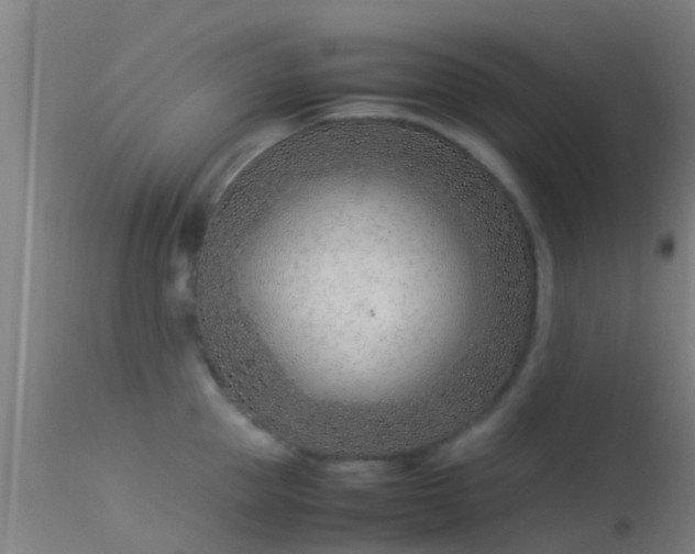 X0000114140953200910151606