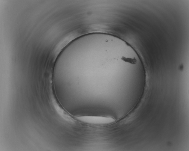 X0000114140954200910151606