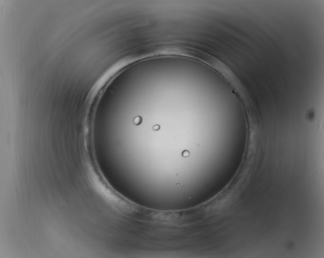 X0000114140955200910151606