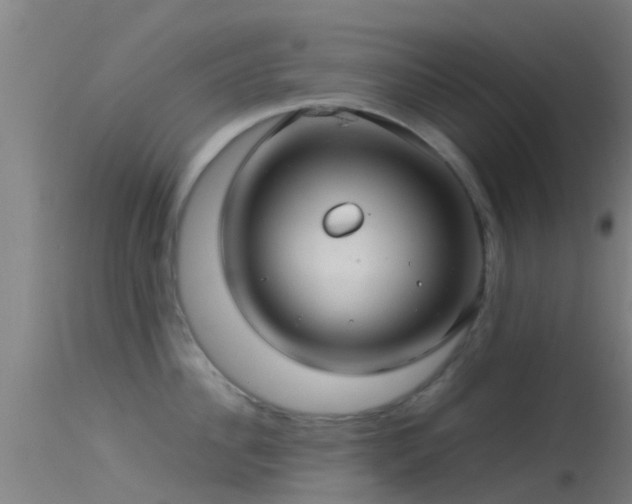 X0000114140956200910151606