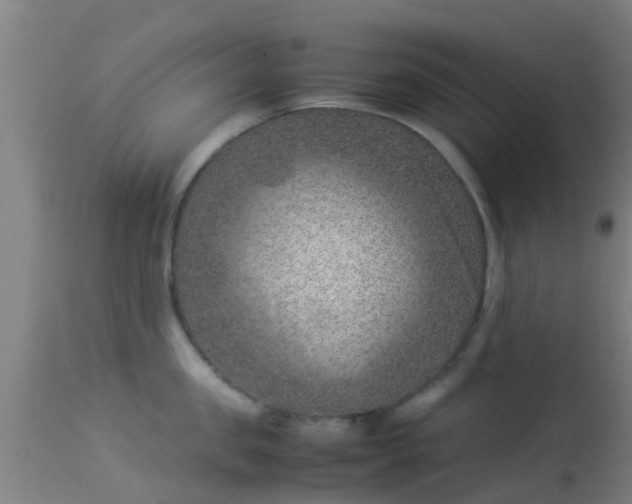 X0000114140957200910151606