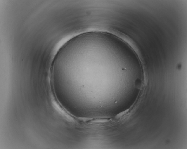 X0000114140958200910151606