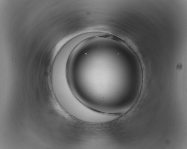 X0000114140960200910151606