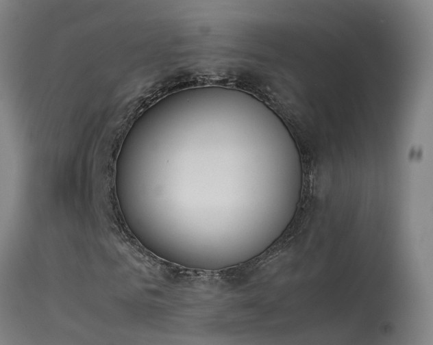 X0000114140961200910151605