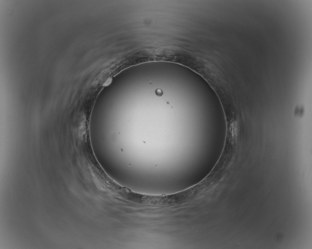 X0000114140963200910151605