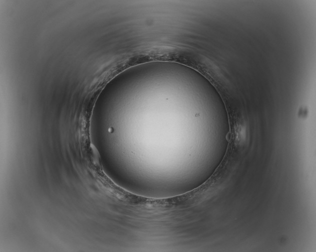 X0000114140964200910151605